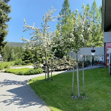 Apartman 2kk S Vyhledem Do Prirody, S Oddelenou Loznici Pro 3, Obyvaci Pokoj S Kuchynskym Koutem, Parkovaci Stani Primo Pod Oknem, Vetsi Sklepni Koje Na Lyze A Kola Harrachov